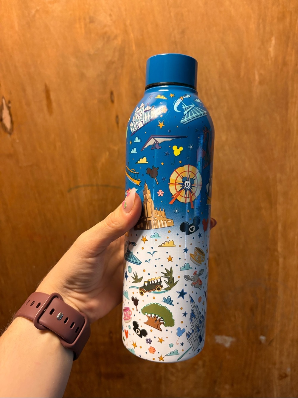 Disney World Parks Tumbler 18 Oz